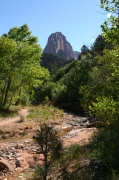 05 - Zion NP (15)